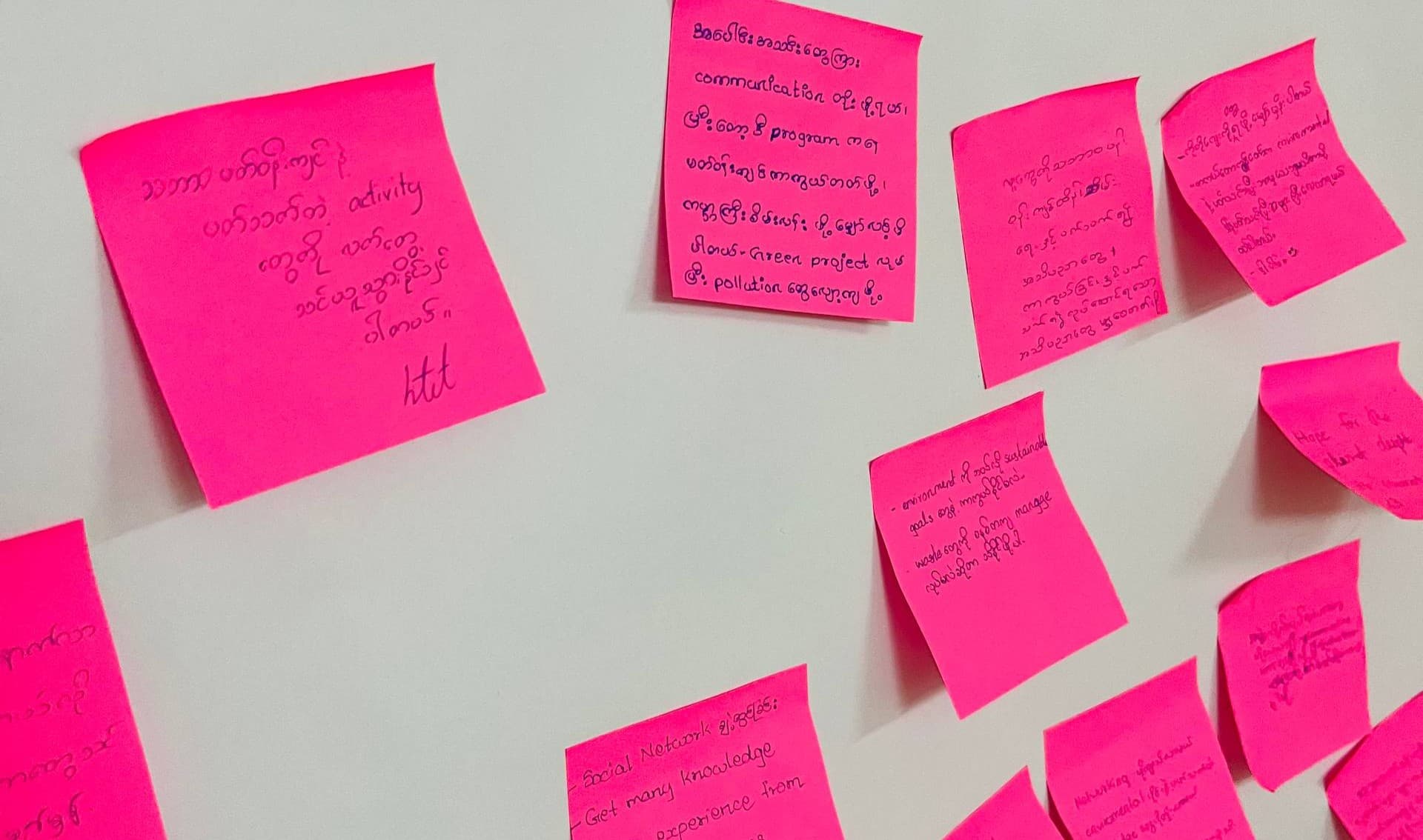 Green Wave Project: YEFW Batch 1 Wrap-Up — photo 2