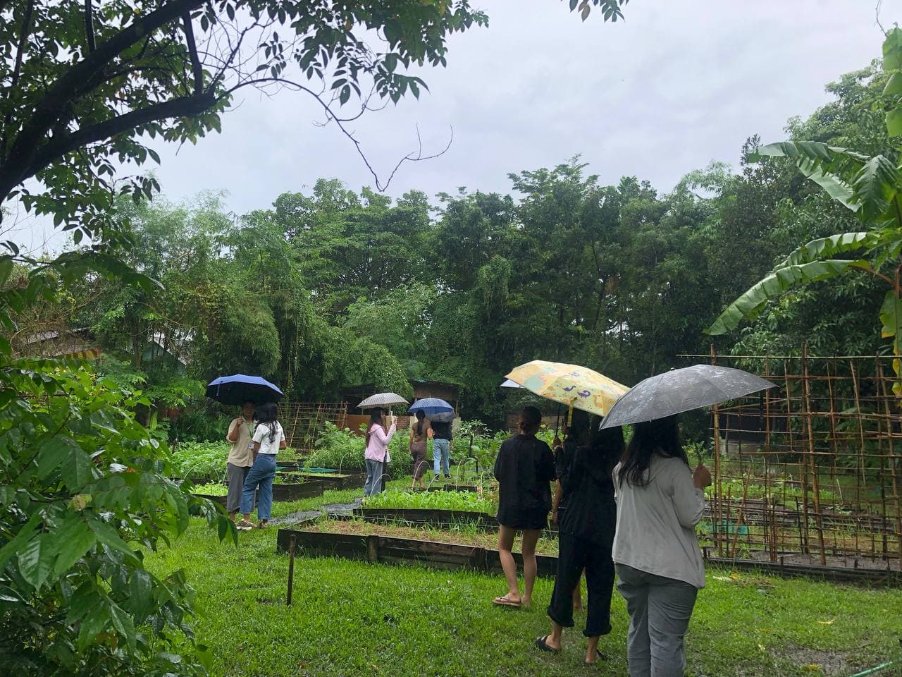 Green Wave Project: YEFW Batch 1 Wrap-Up — photo 12